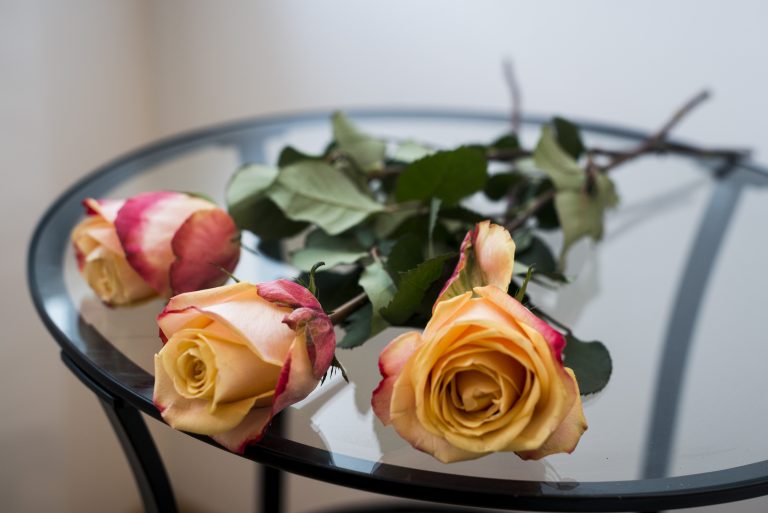 Apartment Dietrichsteinplatz Dekoration Rosen auf Glastisch Foto © Dominic Erschen