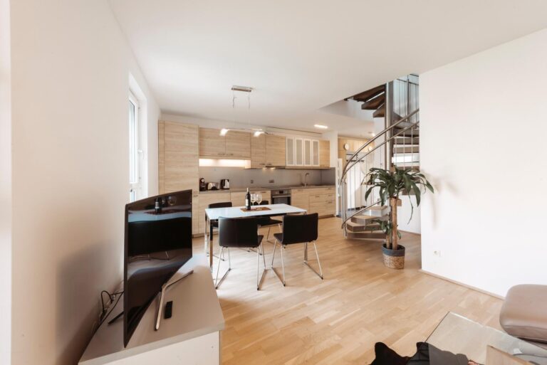 Graz-Apartment-Leechgasse-3